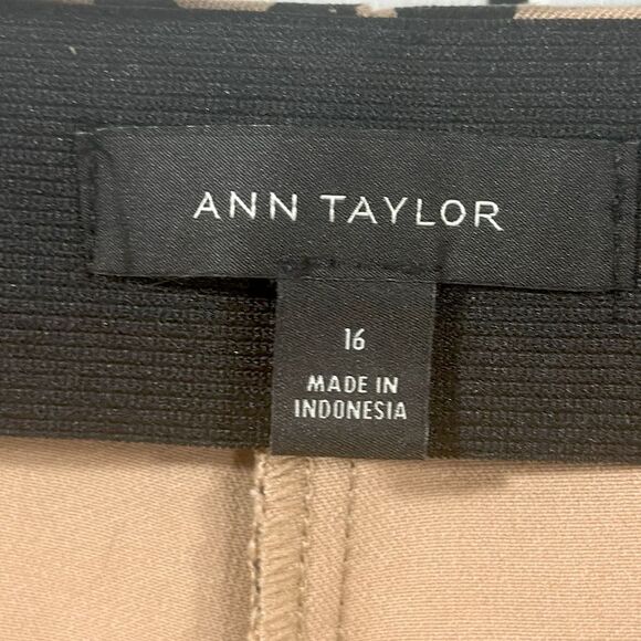 Ann Taylor Black and Tan Skinny Pants - Picture 10 of 13